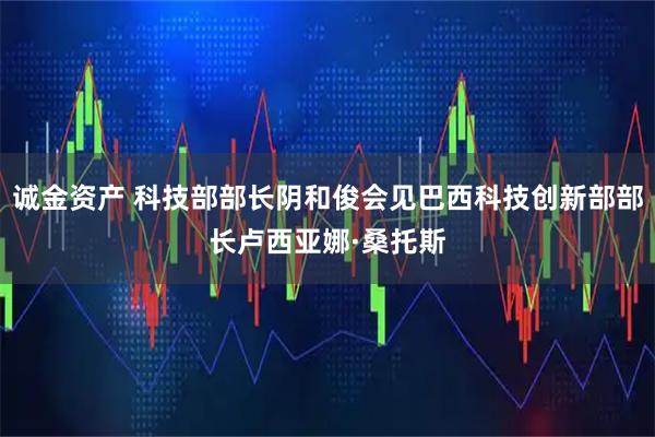 诚金资产 科技部部长阴和俊会见巴西科技创新部部长卢西亚娜·桑托斯