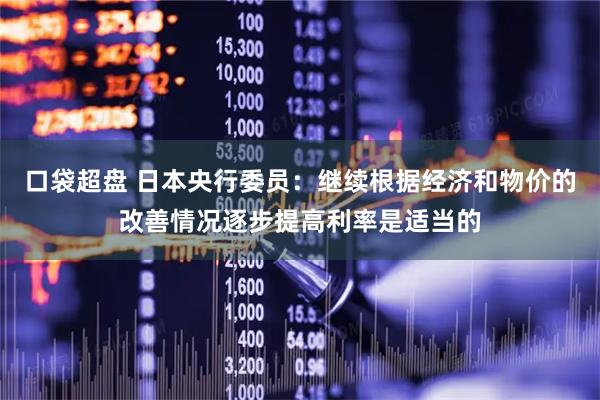 口袋超盘 日本央行委员：继续根据经济和物价的改善情况逐步提高利率是适当的