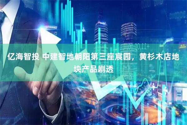 亿海智投 中建智地朝阳第三座宸园，黄杉木店地块产品剧透