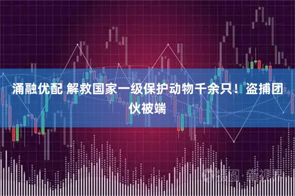 涌融优配 解救国家一级保护动物千余只！盗捕团伙被端