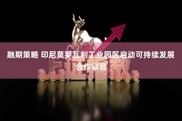 融期策略 印尼莫罗瓦利工业园区启动可持续发展合作项目