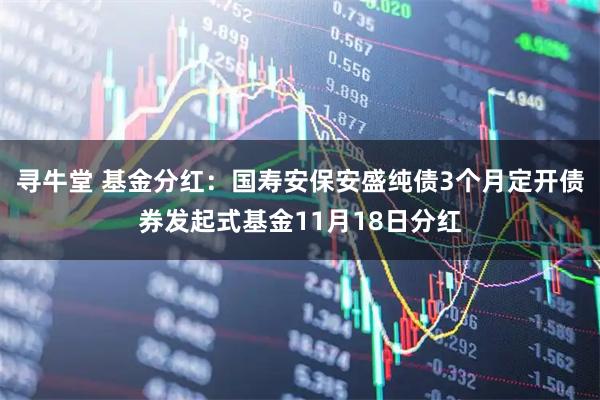 寻牛堂 基金分红：国寿安保安盛纯债3个月定开债券发起式基金11月18日分红
